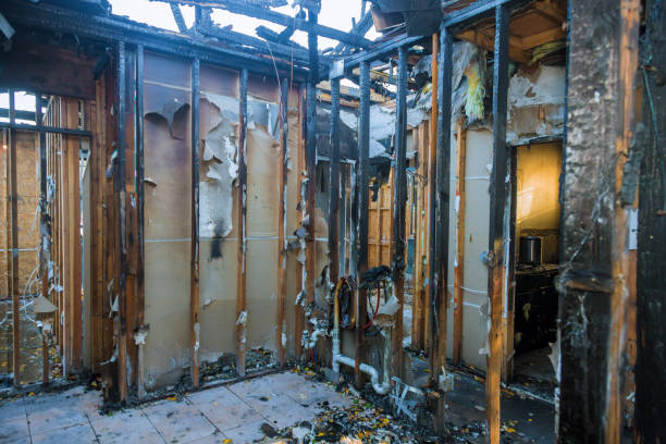 Professional Fire Damage Repair technician working in Lester Prairie, MN