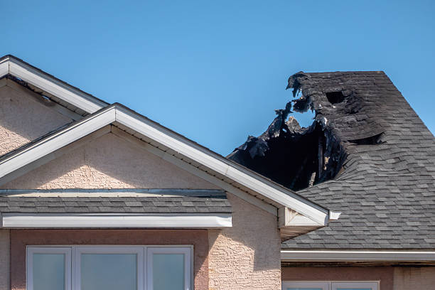 Top rated local Fire Damage Repair specialists in Lester Prairie, MN